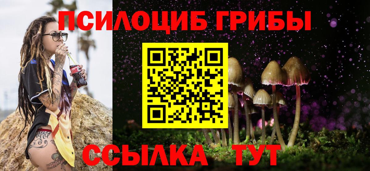 Псилоцибиновые грибы Psilocybe  Псилоцибиновые грибы мицелий  Каменка  Вход с VPN 