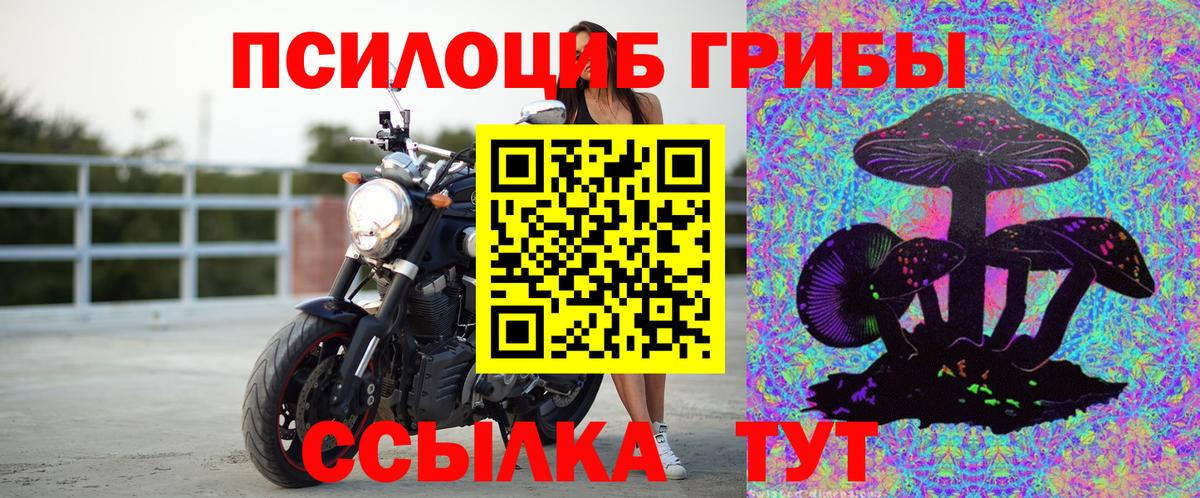 Галлюциногенные грибы GOLDEN TEACHER Каменка